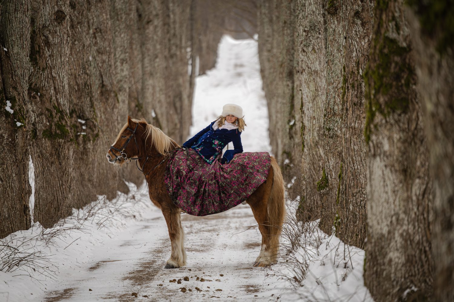 Ziemas fotosesija ar zirgu starp kokiem