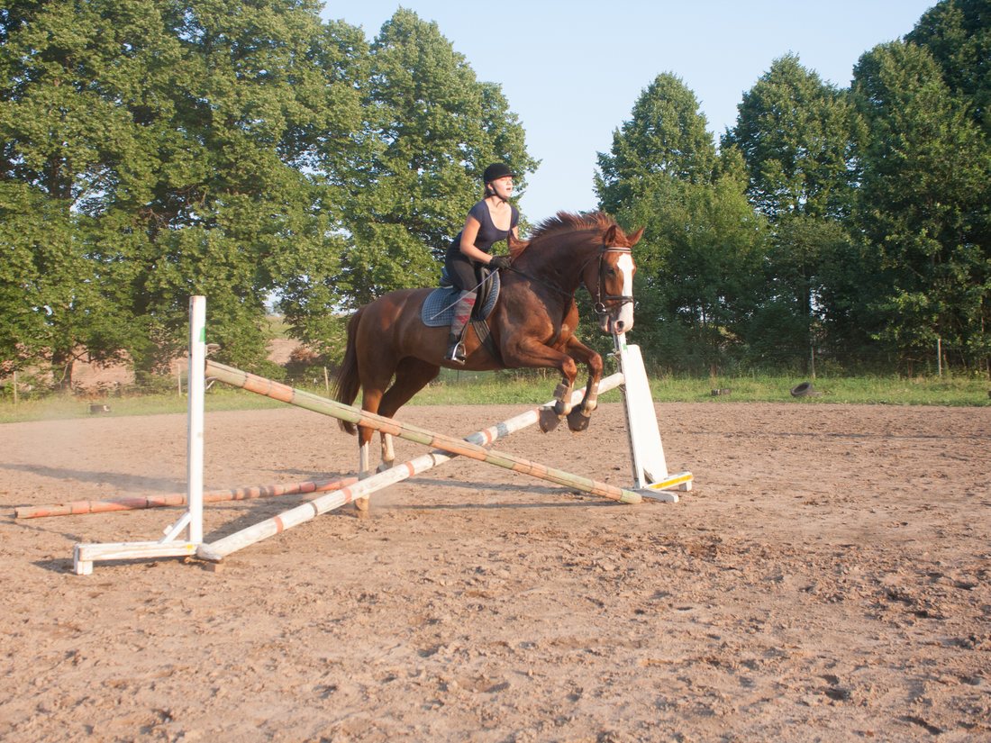 Jāšanas treniņš ar lēcienu pāri šķērslim